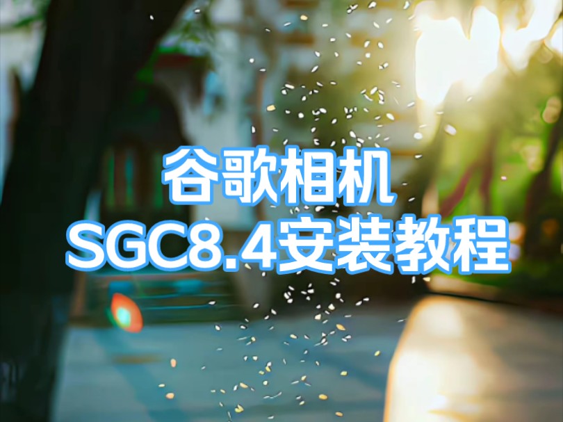 谷歌相机 SGC8.4安装教程哔哩哔哩bilibili