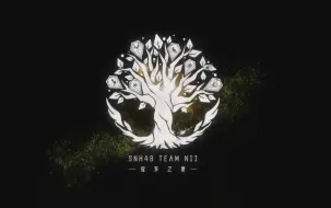 Download Video: 【SNH48】TEAM NII《应许之地》公演20241011