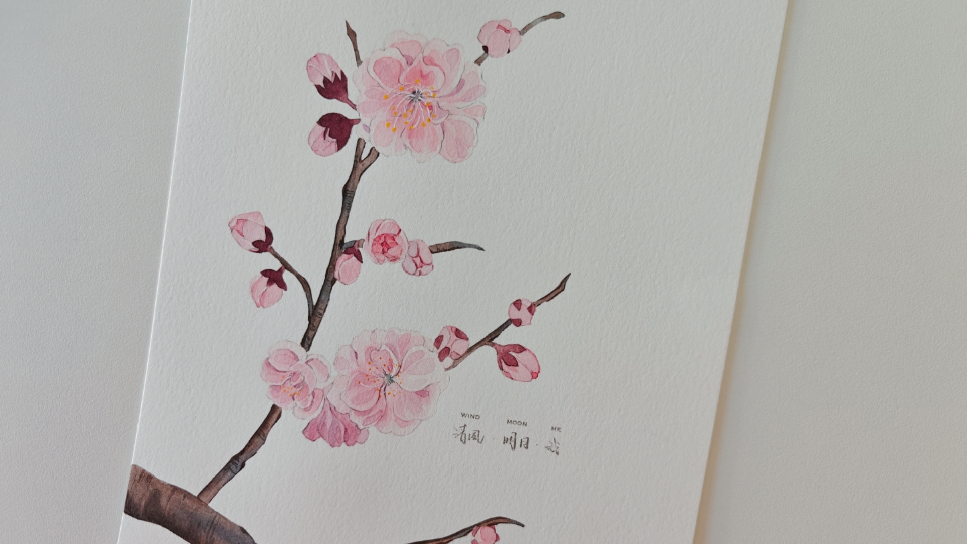 水彩疗愈 梅花