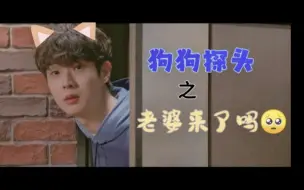 Download Video: 【崔宇植】【崔雄】狗狗有什么错呢？狗狗只想和猫猫贴贴罢了~