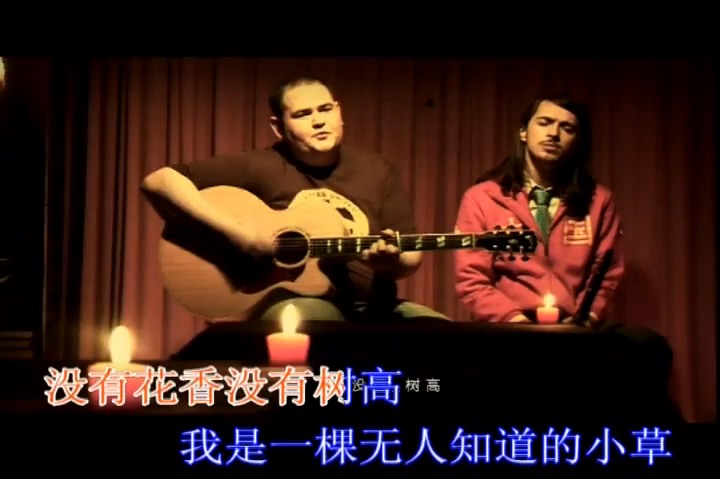 我是一棵小草歌曲(我是一棵小草歌曲原唱董文华)