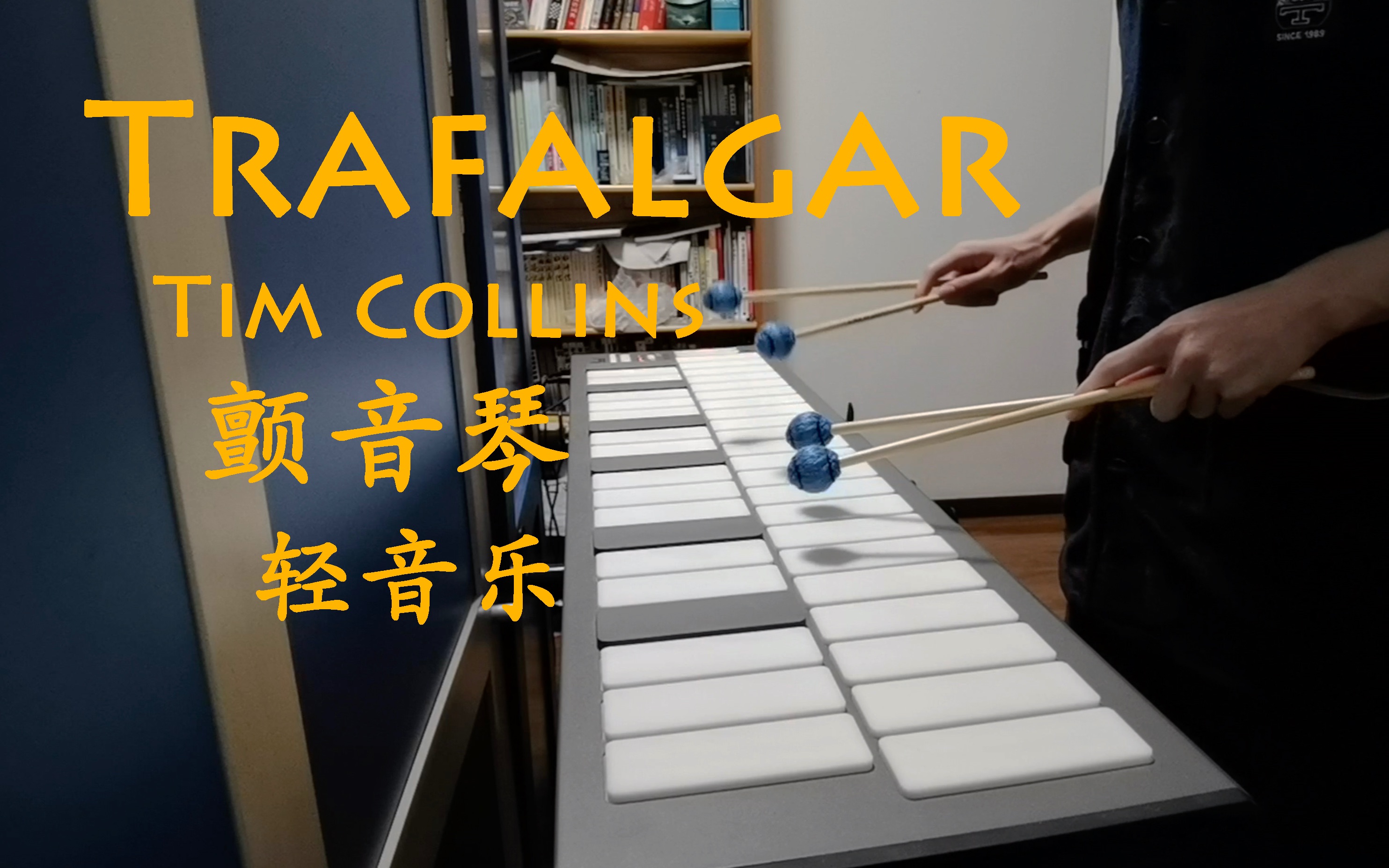 【颤音琴】Trafalgar by Tim Collins 轻音乐cover哔哩哔哩bilibili