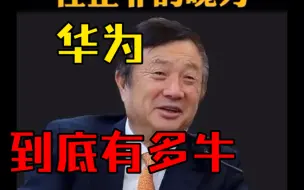 下载视频: 华为到底有多牛，任正非只要按下按钮，美国所有的网全断了