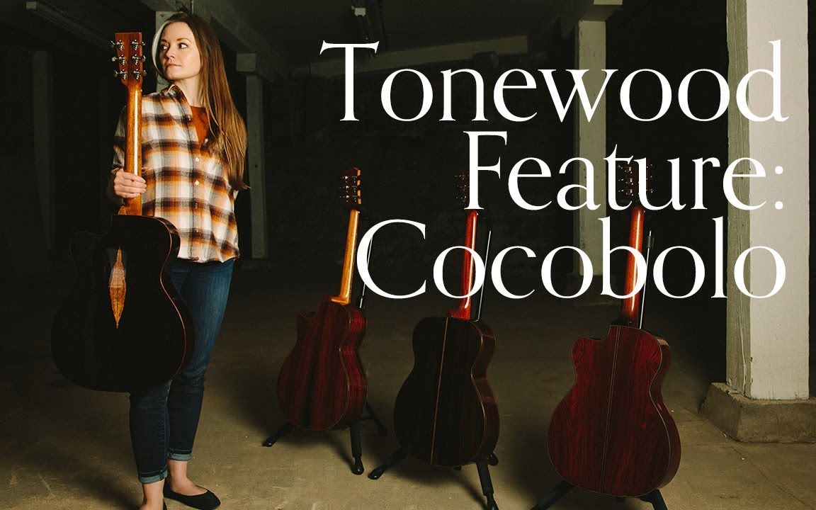 [图][4K] 可可波罗Cocobolo背侧的木吉他能打吗？Tonewood Feature with Lindsay Straw