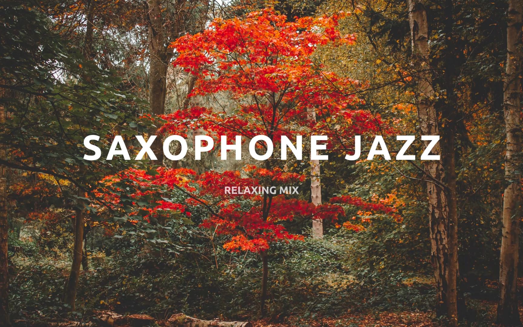 [图]「SAXOPHONE JAZZ」歌单 | 氛围萨克斯风 | 放松学习专属