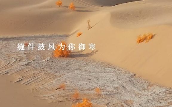 [图]【旅 行】塔克拉玛干沙漠的胡杨，三千年的等待，却被人记住的只是一个秋天，谁又知道它们在如此艰难的环境下已经见证了多少代世人......