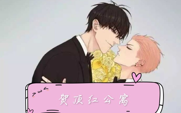 [贺顶红]19天,贺天*红毛哔哩哔哩bilibili