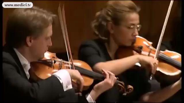 [图]没有你找不到的古典乐！大佬都在这里了拿去不谢~Beethoven - Symphony No. 5