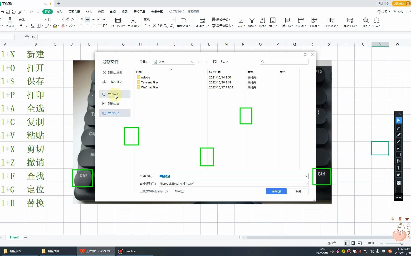 0基础到精通,表格入门制作,office/wps/办公软件教学哔哩哔哩bilibili