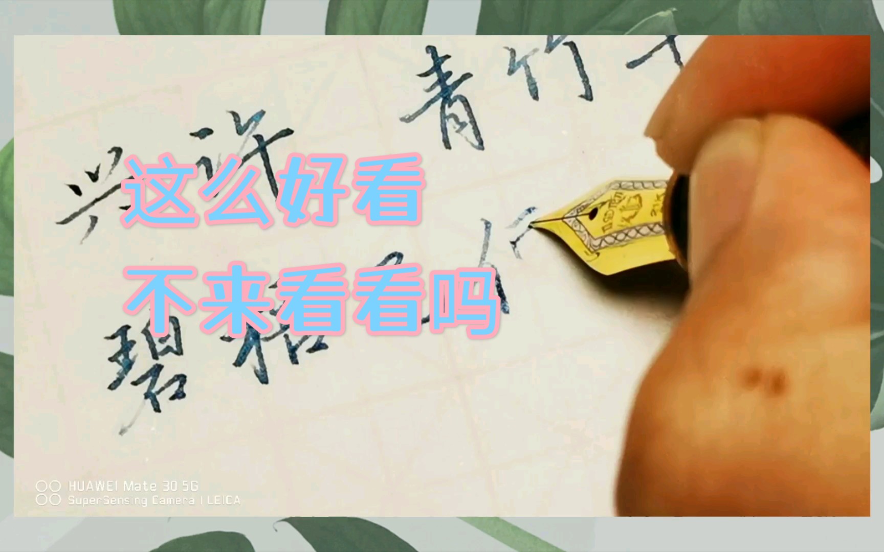 雁影歌词手写栖凰