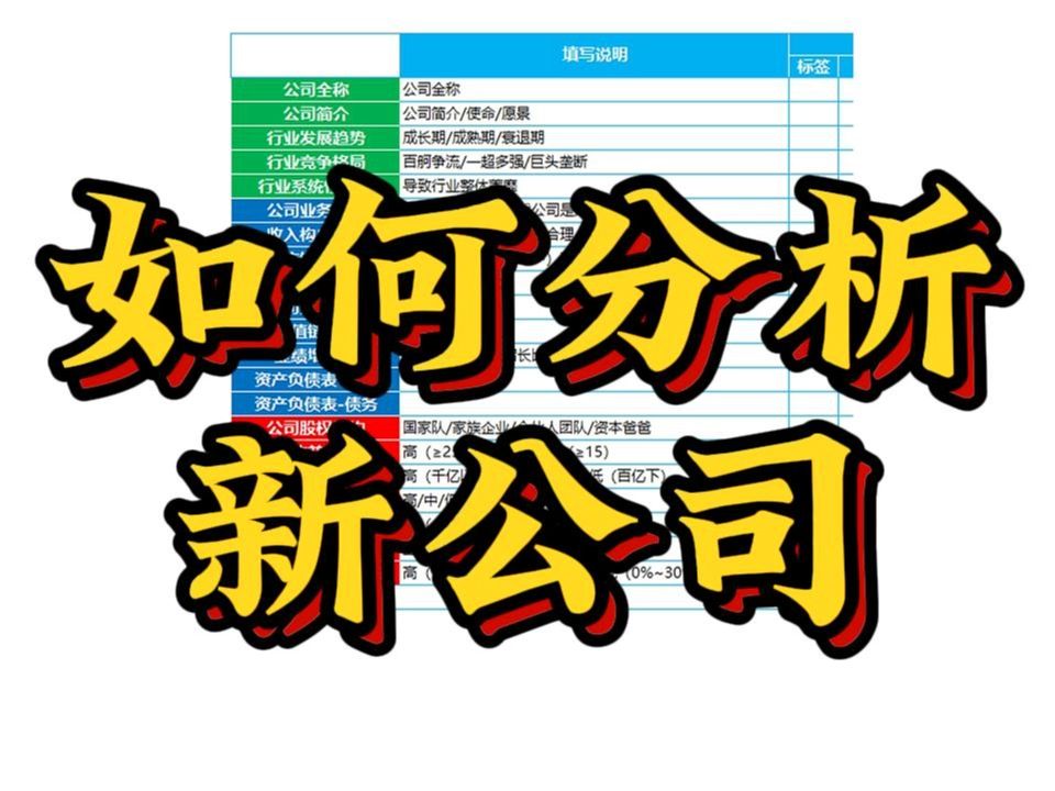 如何分析一家新公司,框架版哔哩哔哩bilibili