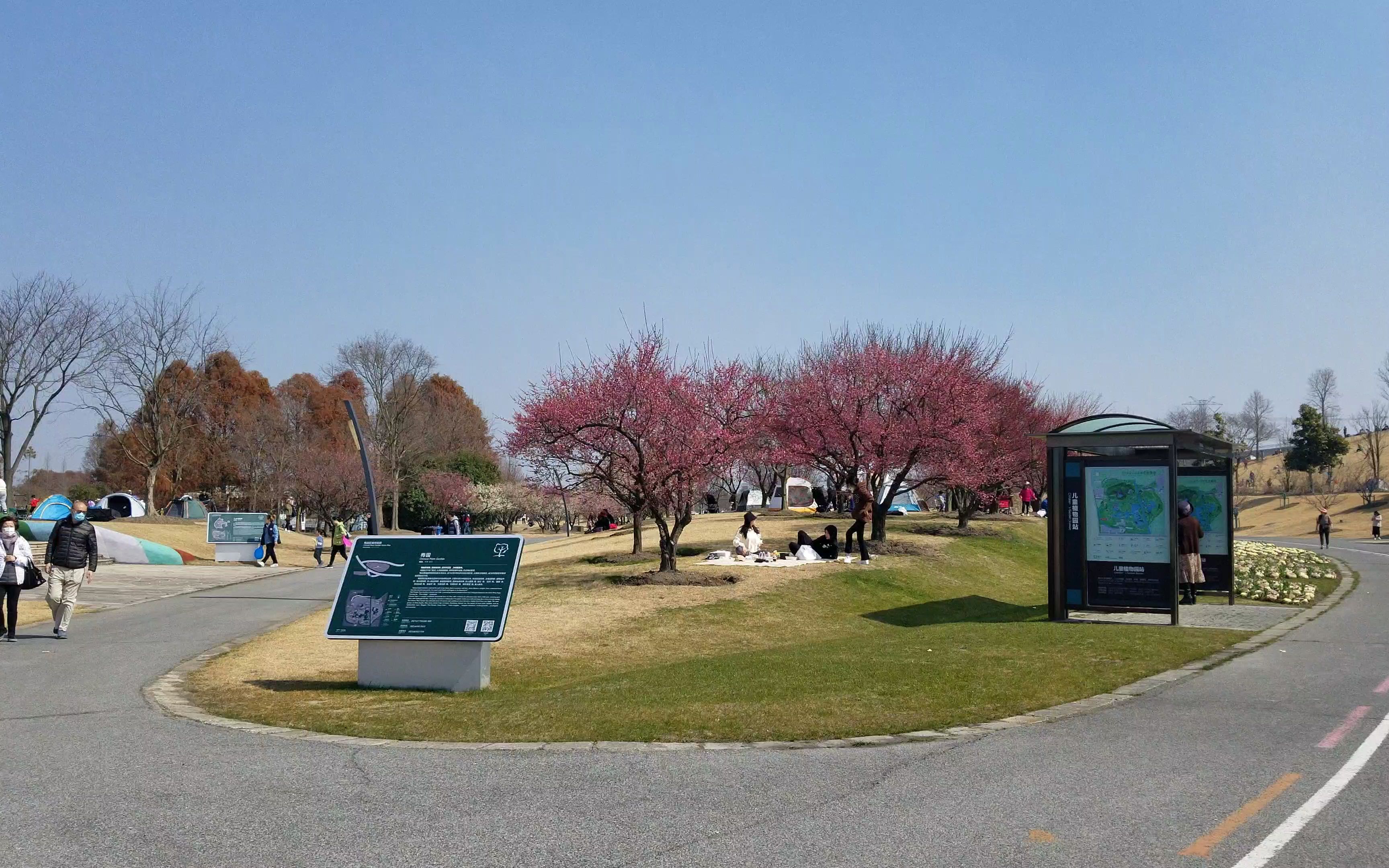 上海松江辰山植物园