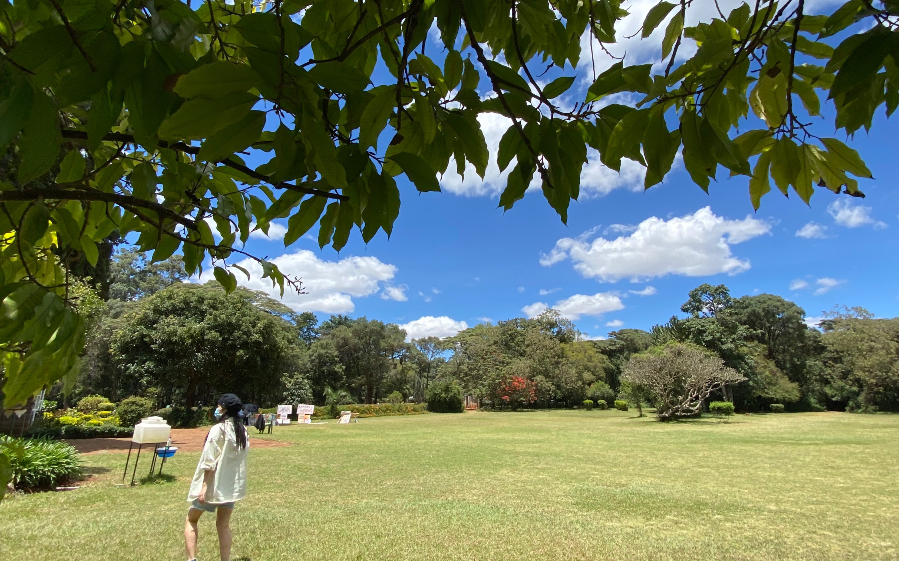 [图]VLOG/走出非洲作者凯伦故居一日游/法语专业毕业生和大学同学一起外派非洲的快乐