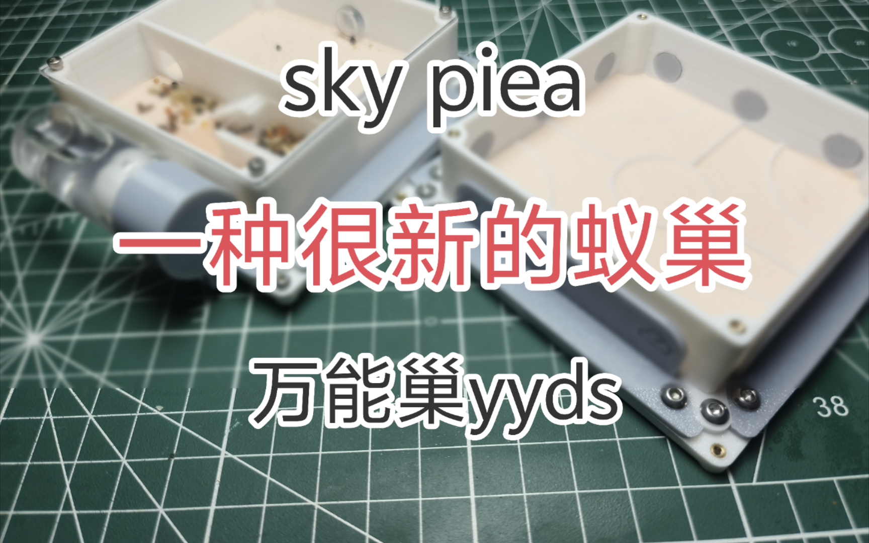 【蚁巢】SkyPiea 百变万能巢(预想篇) 蚂蚁,万能巢,3d打印巢,试管巢,白菜巢,亚克力巢,混泥土巢,石膏巢,铺地巢,土巢,收获蚁,弓背蚁,铺...