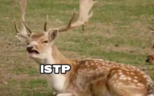 Descargar video: istp的memes