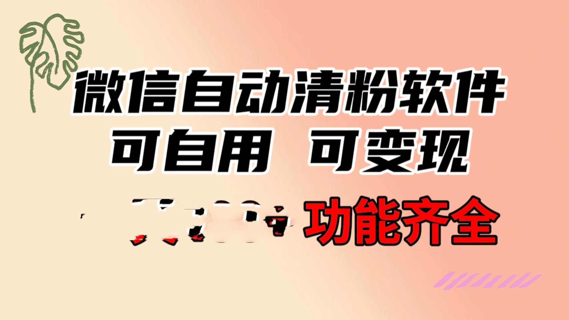 功能齐全的微信自动清粉软件,可自用可变现