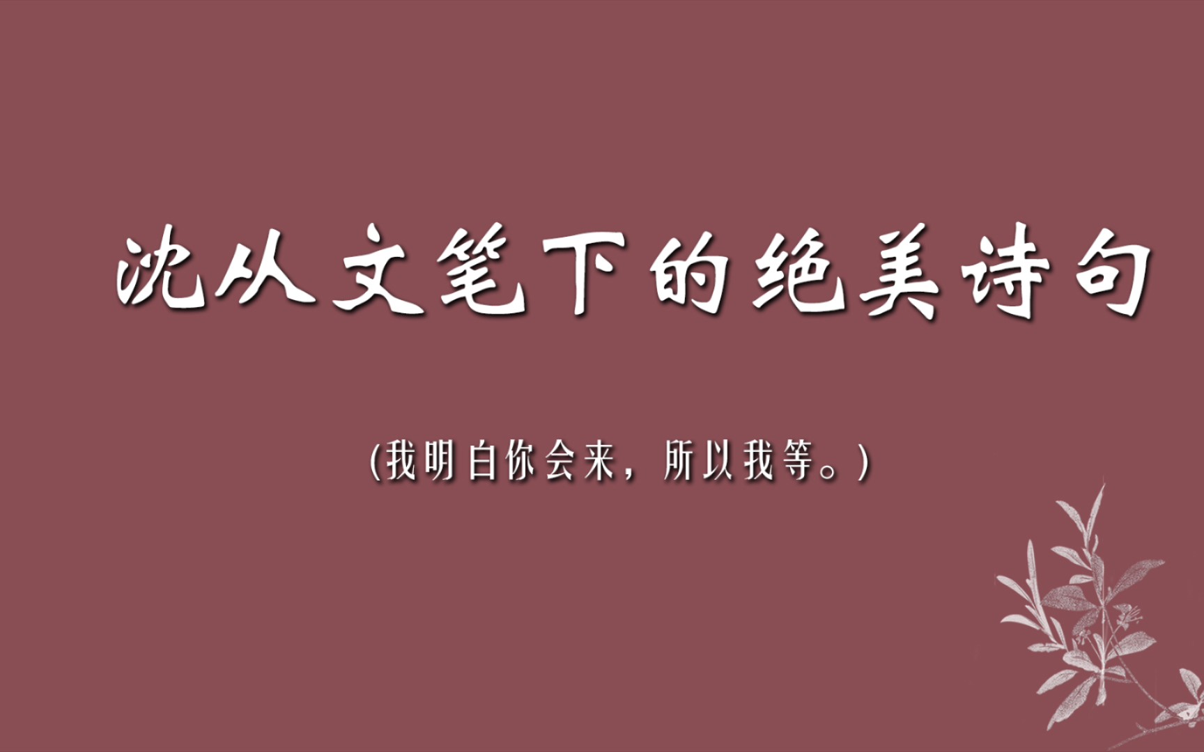 我明白你会来,所以我等.|沈从文经典语录哔哩哔哩bilibili