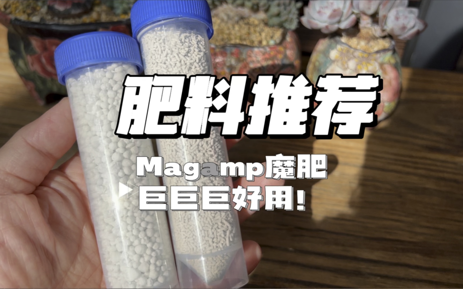 巨好用的多肉肥料推荐【Magamp魔肥】哔哩哔哩bilibili