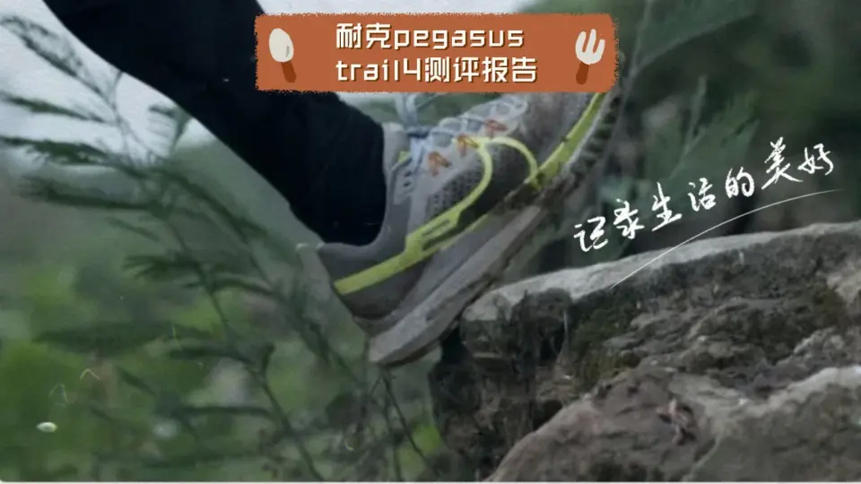 Pegasus 2024 turbo runrepeat