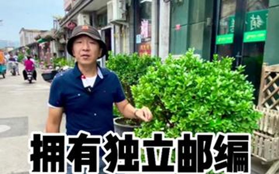 [图]想给未来的自己写一封信吗？邮政未来邮局帮您圆梦。