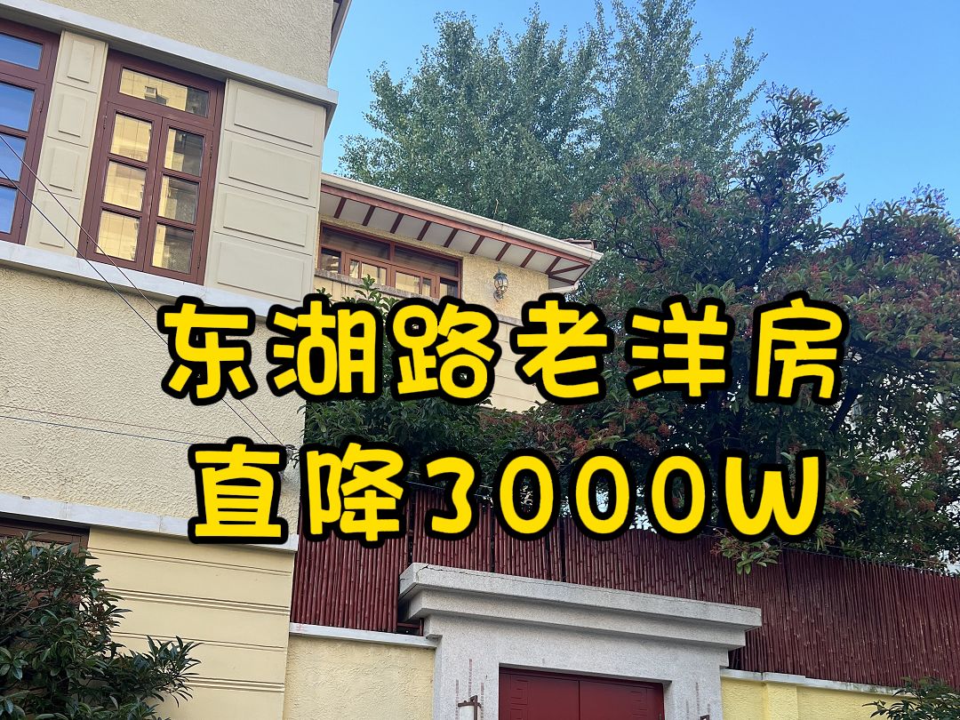 NO.2188买房日记❗❗房东顶不住了直降3000W老洋房哔哩哔哩bilibili