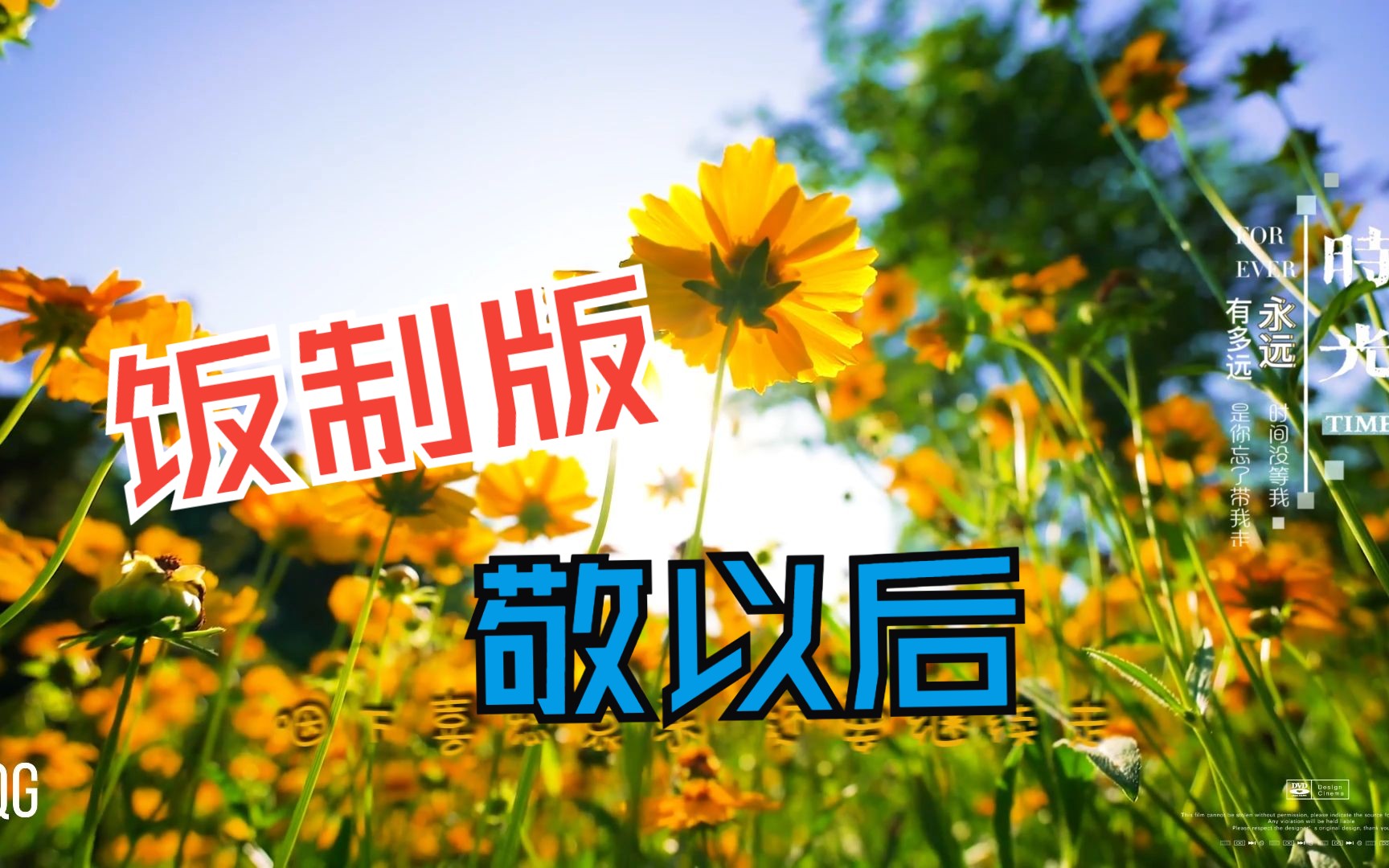 一首好听的歌曲《敬以后》,也敬自己,愿余生的每一个角落都充满幸福与
