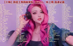 Download Video: 【土嗨】我是土狗我就爱听  中文DJ 一听上瘾 高速必备