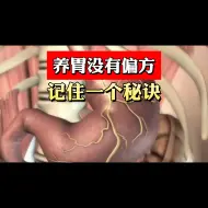 Tải video: 养胃没有偏方，一个秘诀全搞定