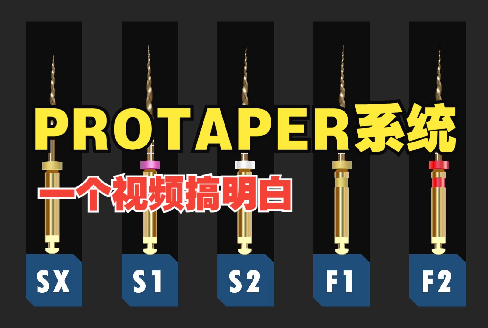 一个视频搞明白PROTAPER系统:Understanding PROTAPER SYSTEM哔哩哔哩bilibili