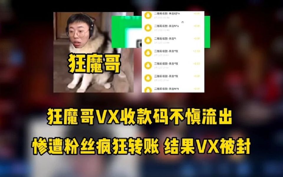 狂魔哥vx收款码不慎流出,惨遭好厚米24小时转账,导致VX被封.哔哩哔哩bilibili