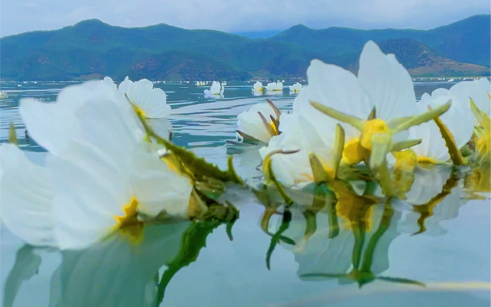 雲南瀘沽湖的