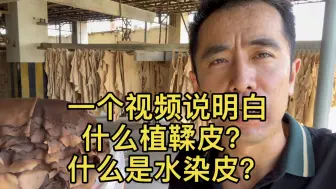 Descargar video: 什么是植鞣皮？什么是水染皮？