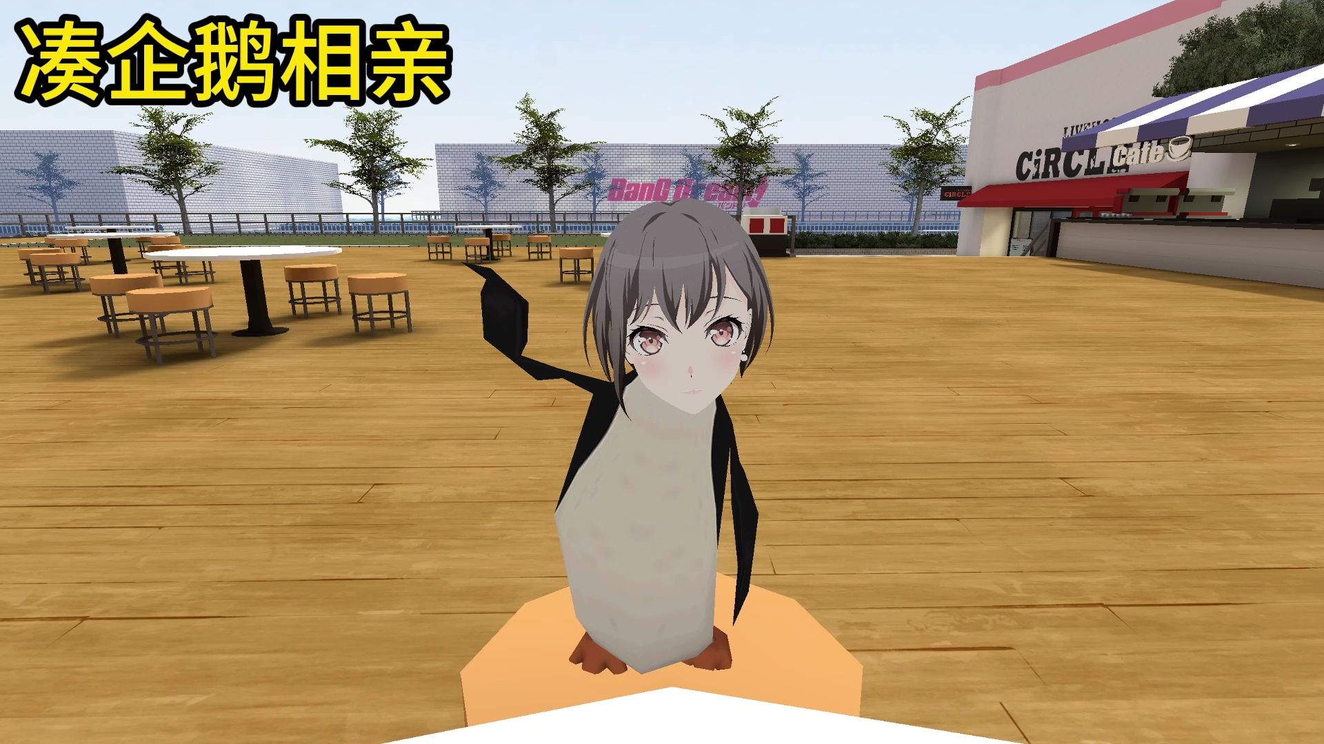 🐧凑企鹅相亲🐧【B萌应援】