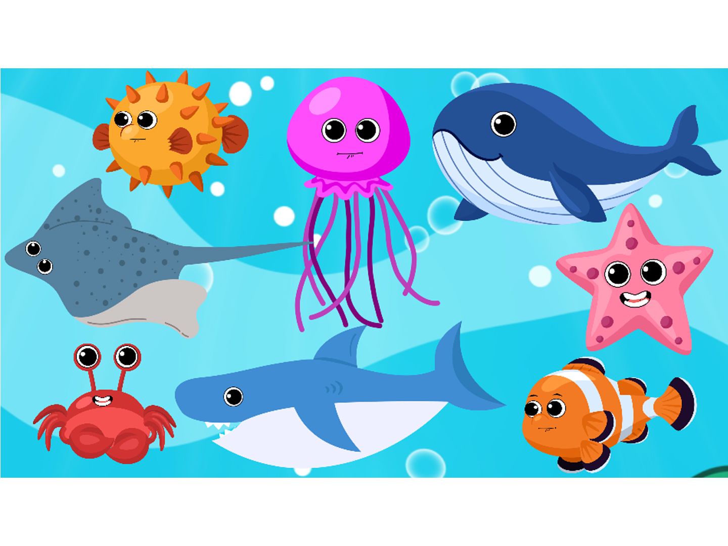 可爱海洋动物 ocean animals