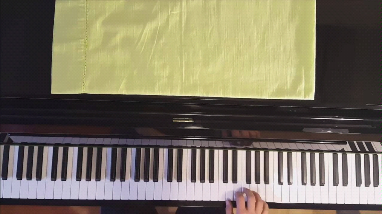 [图]Ahrix-Nova + Left Behind (Piano Cover)