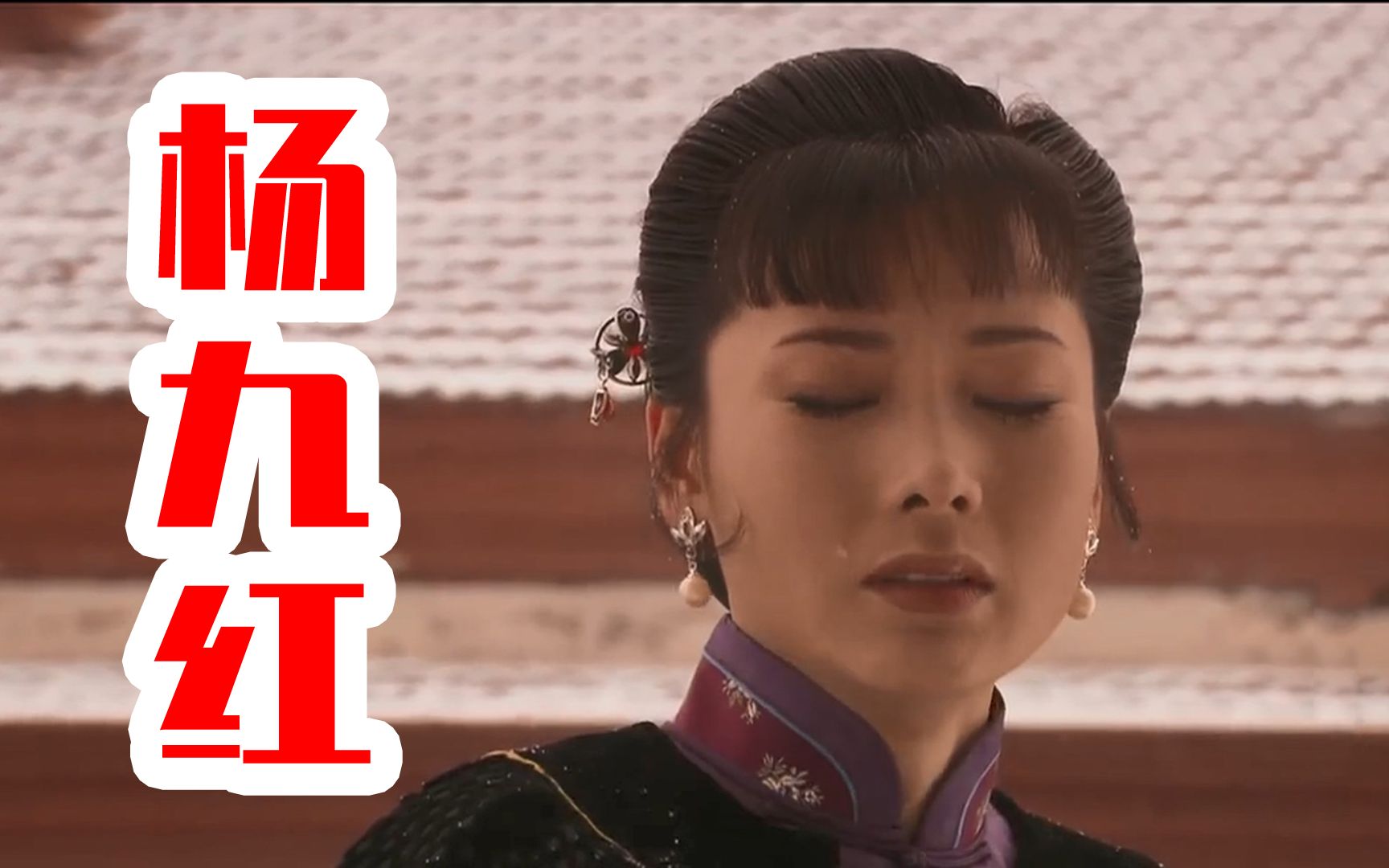 大宅门之杨九红为了避免孩子再次被二奶奶抢走杨九红冒险逃亡济南可惜