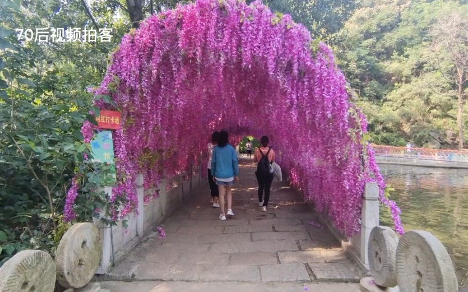 [图]河北金水桥风景美如画，你来过这里吗