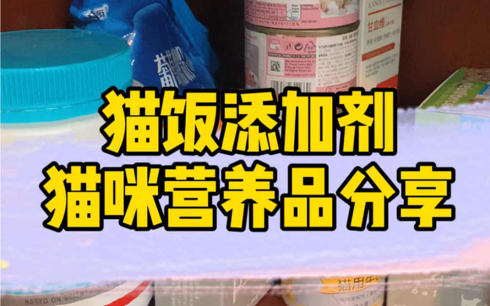 猫饭添加剂 猫咪营养品分享 缺啥补啥日常喂养食补很重要 注意科学喂养哔哩哔哩bilibili