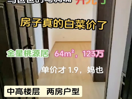 小区坐标:桃源新区64 方,123 万,单价才 1.9 ,拎包入住,捡漏房不要错过!#一个敢说真话的房产人 #抖音房产 #捡漏房 #超低价格 #首付低哔哩哔哩...