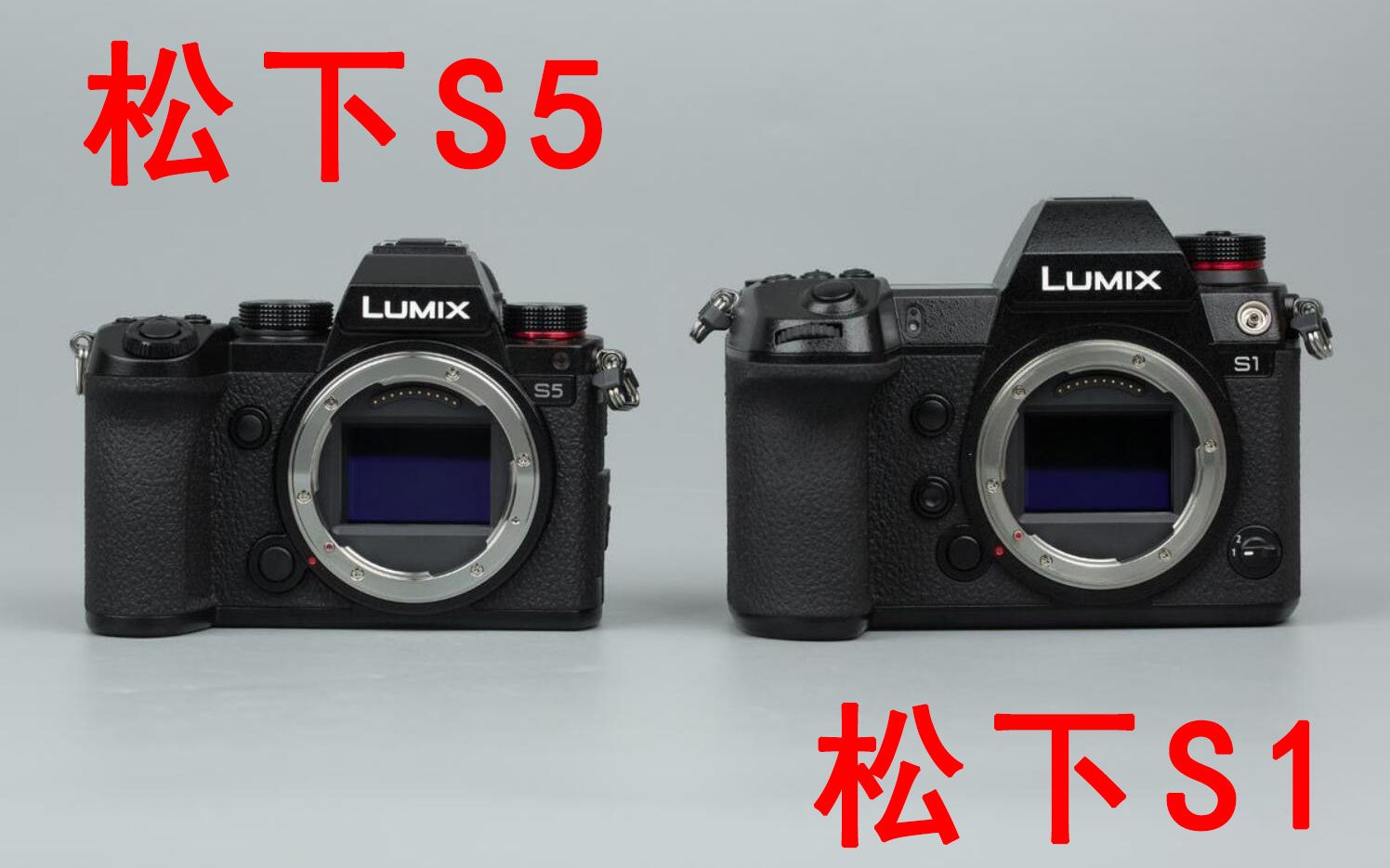 熟练使用松下dfd反差对焦后就不想买索尼a7m3啦——《松下s1第5集》