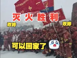 Скачать видео: 雅江山火被扑灭，消防官兵们在大雪中欢呼！