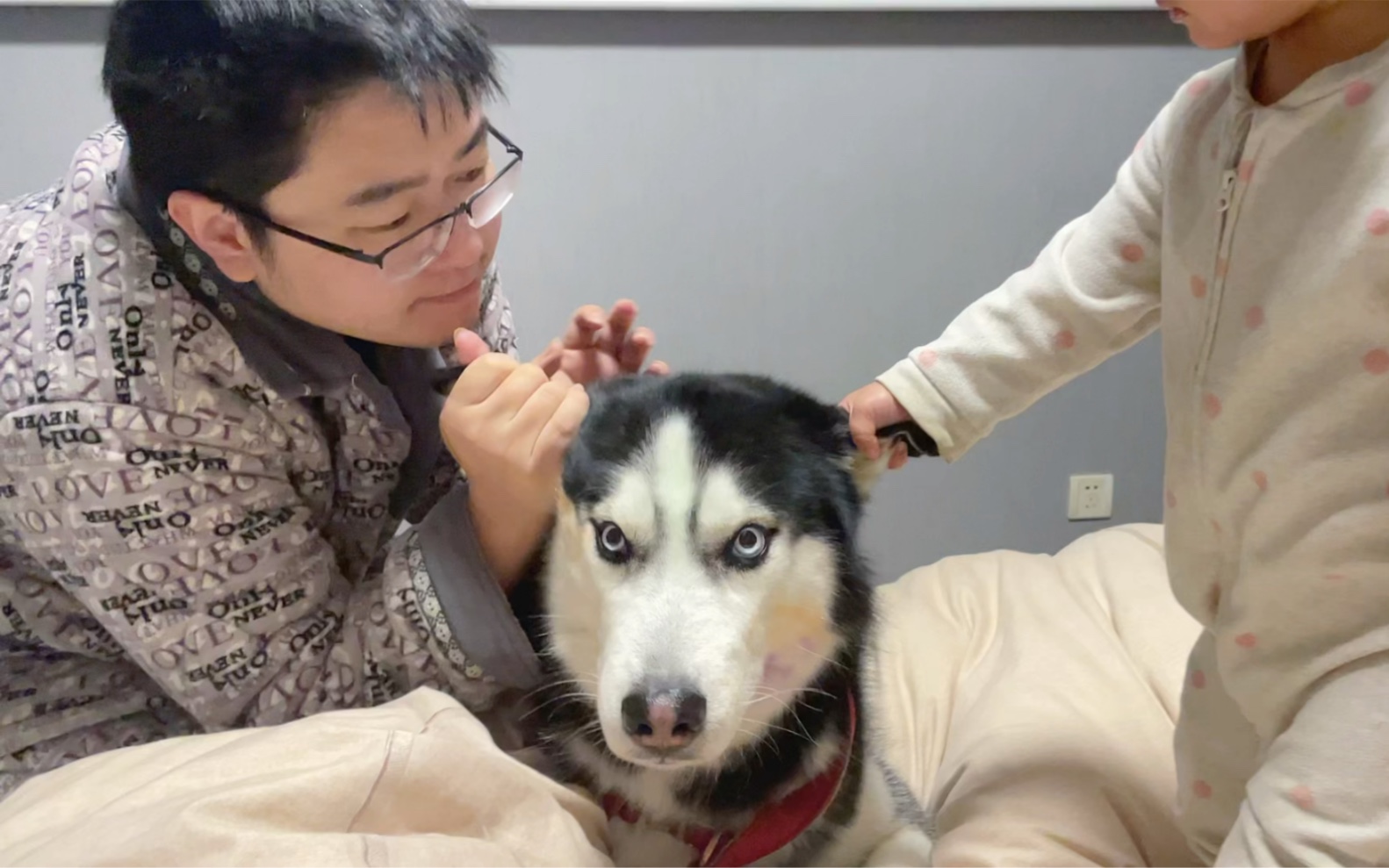 大哈二哈的幸福生活_哔哩哔哩_bilibili