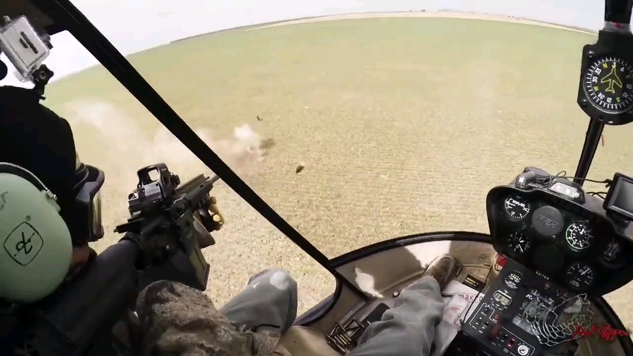 老外开直升机突突成灾的野猪