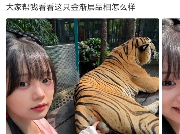 弹老虎蛋蛋,什么鬼?逼站加载速度跟不上我看的速度了