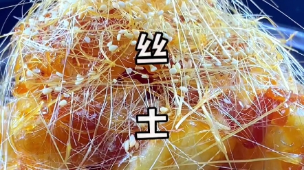 拔丝土豆哔哩哔哩bilibili