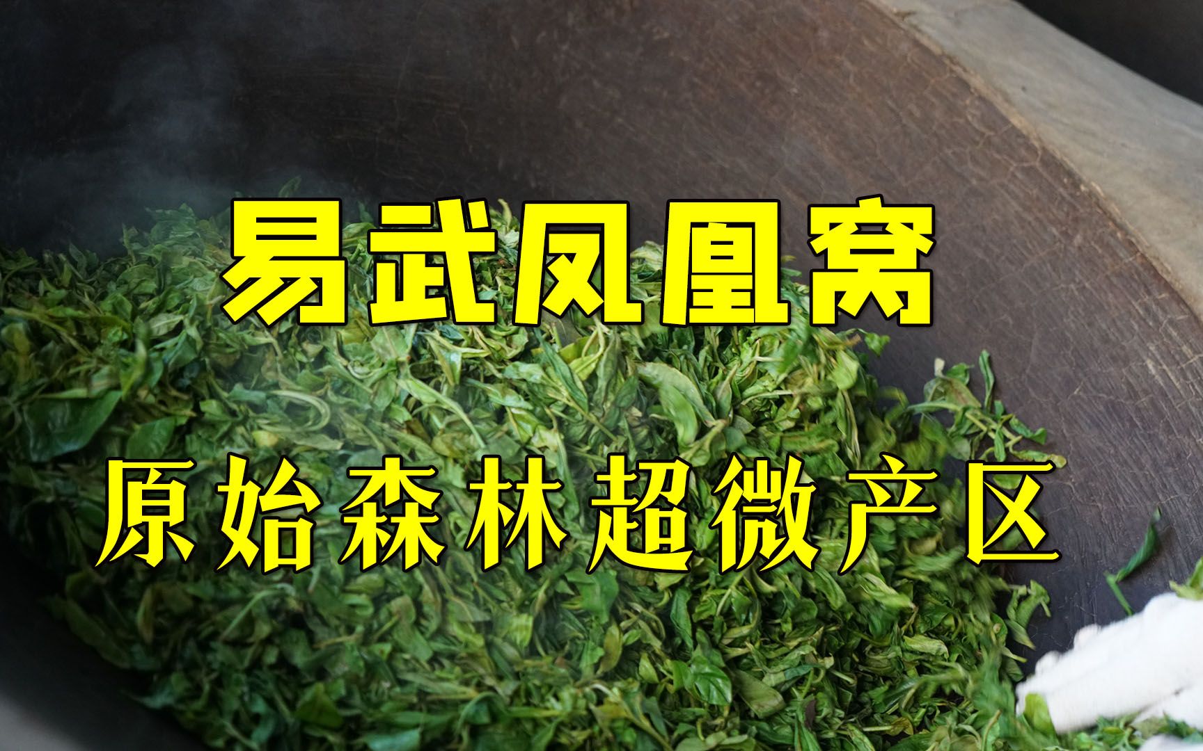 易武凤凰窝普洱茶的口感特点