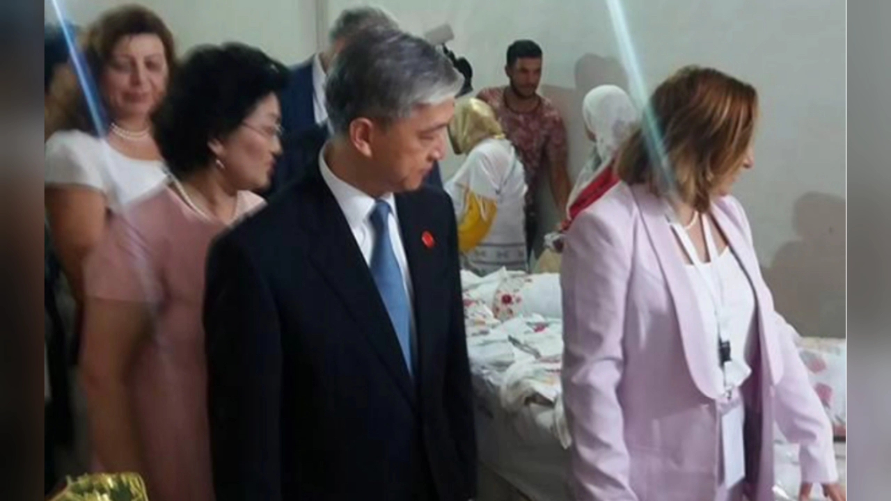 【汪文斌】汪大使在突尼斯