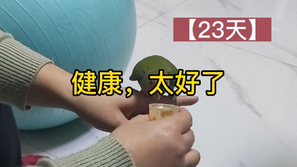 依依到家23天,健康,太好了哔哩哔哩bilibili