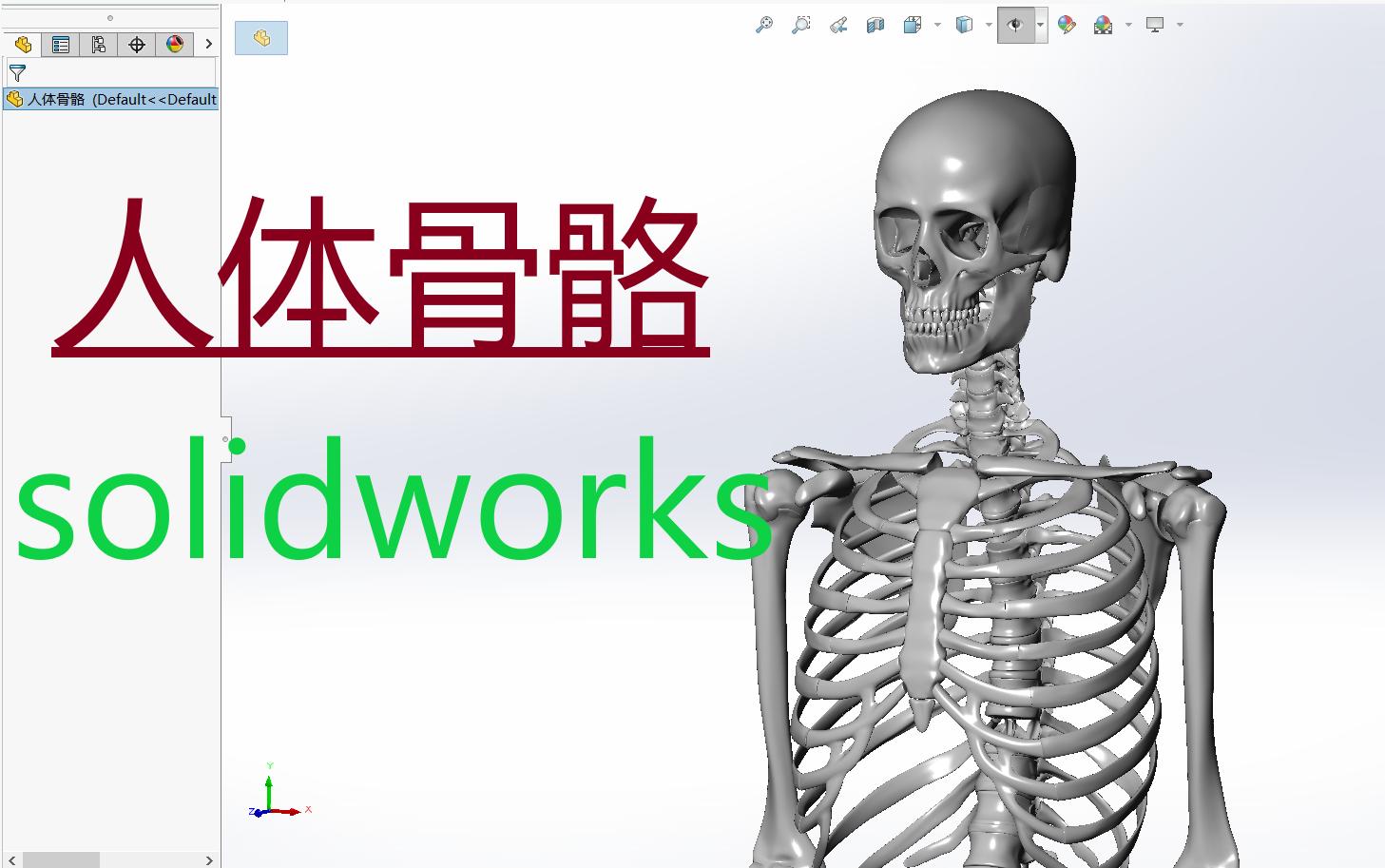 [图]这是条露骨的视频 ，未成年人慎入 【人体骨骼】solidworks模型（可分享）点赞超五千，3D打印出来评论区抽一粉丝送。