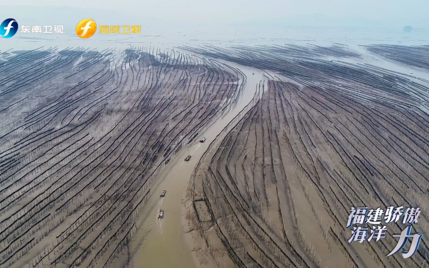 [图]手握“芯片” 中国海带之乡真“带劲”